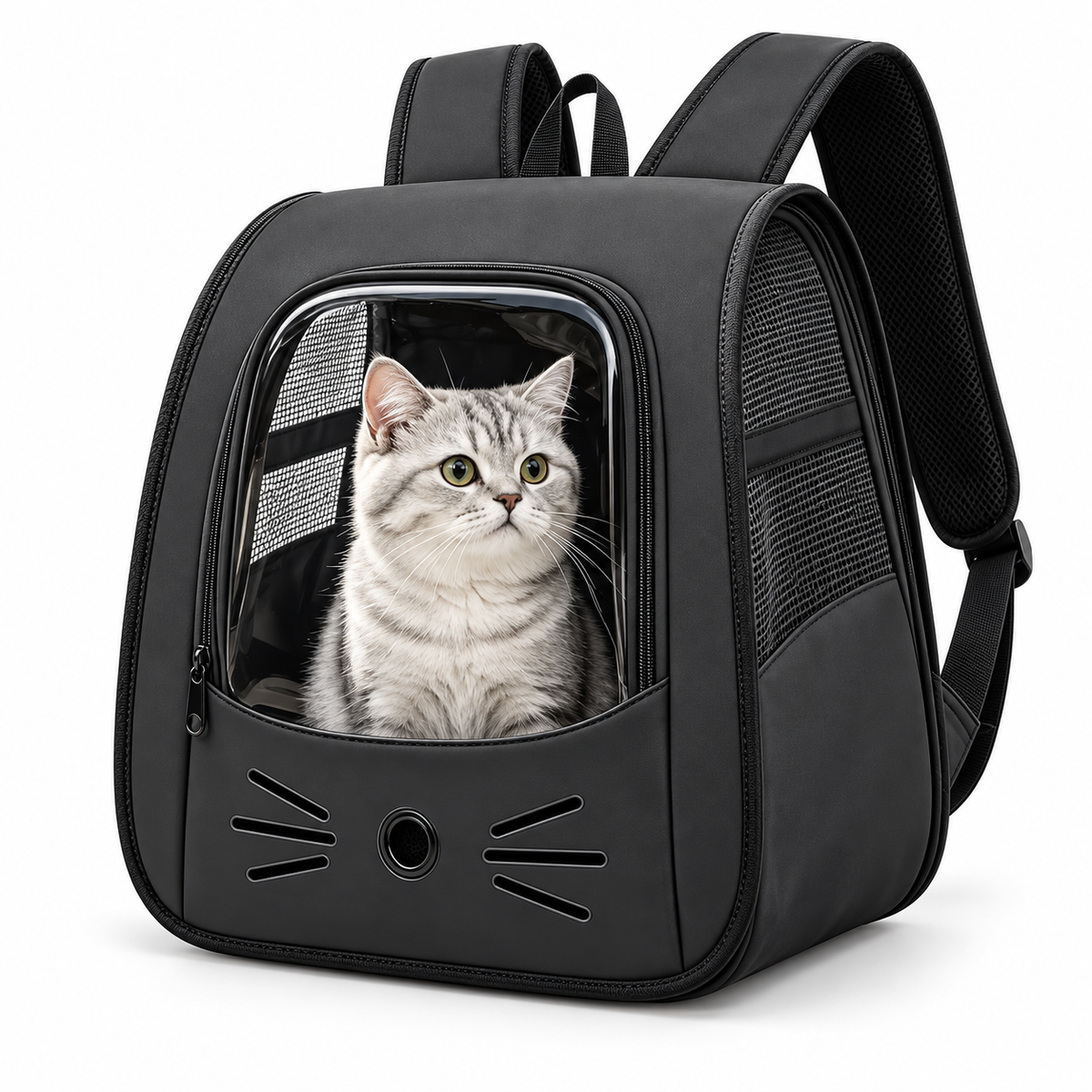 Portable Pet Carrier