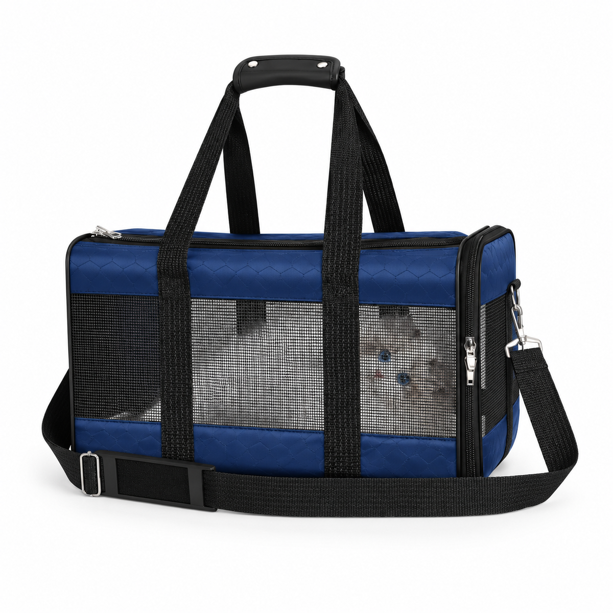 Portable Pet Carrier